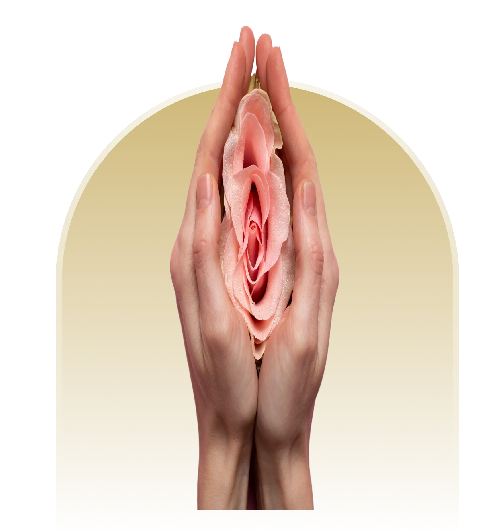 Genital Aesthetics Turkey - Intimate surgery at Carely Clinic Istanbul