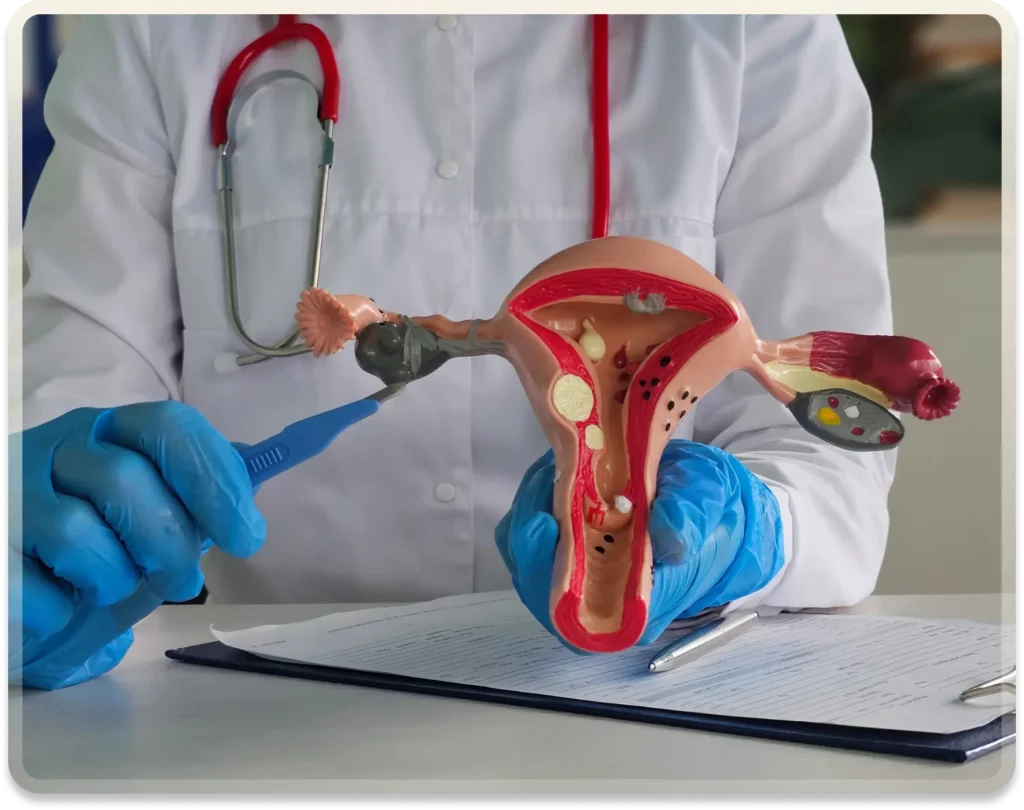 Labiaplasty turkey